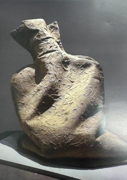  宗涛《热水袋》 宣纸 75x65x50cm 2009