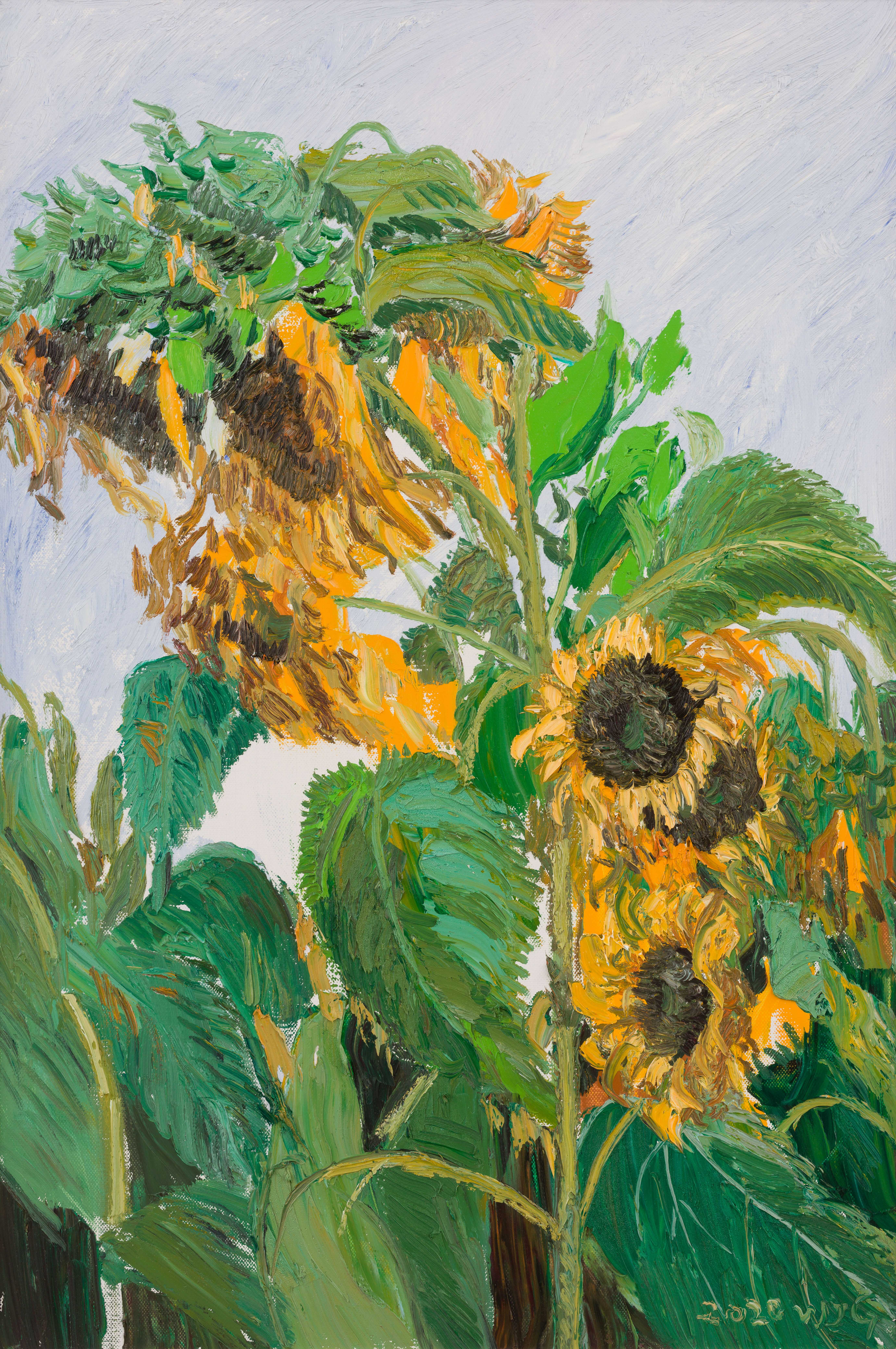 《八月葵香》80cm x120cm  油画 2020