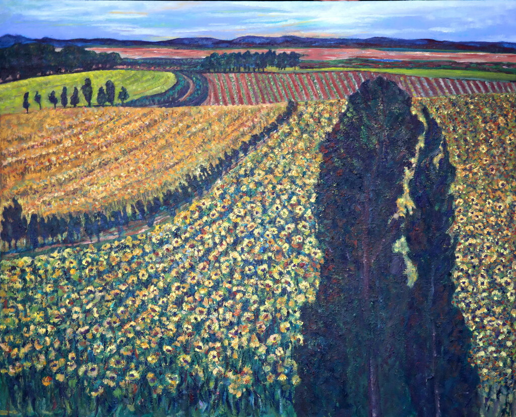 乌兰 《黄河边上的葵园》 油画  100cmx120cm 2024年